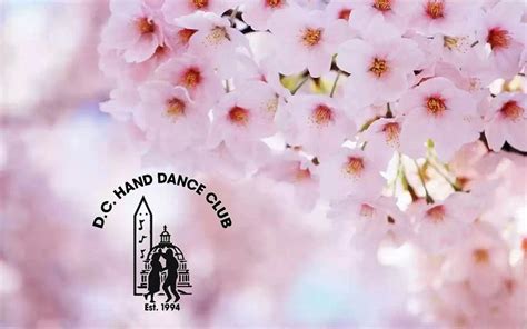 dc hand dance club|dc hand dance club events.